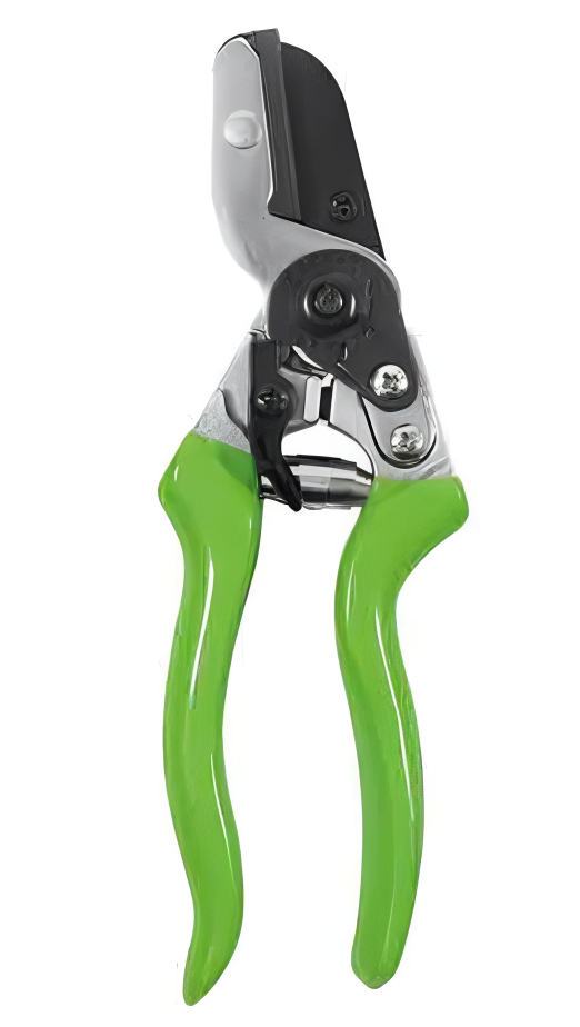 Pruning Shears