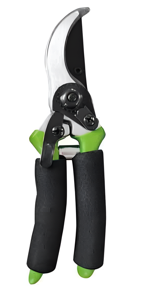 Pruning Shears