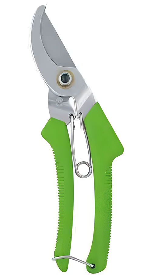 Pruning Shears