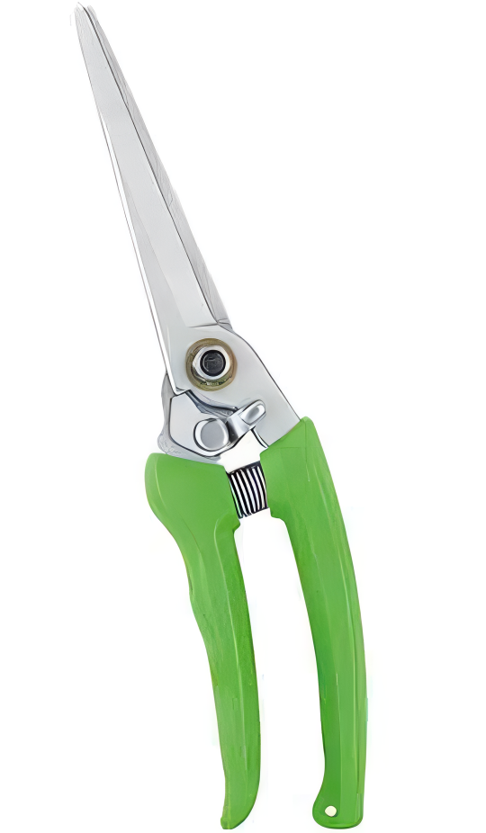 Pruning Shears