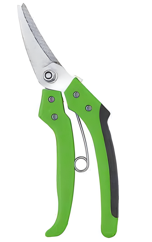 Pruning Shears