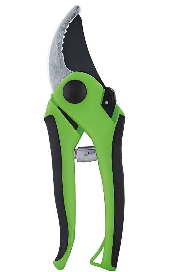 Pruning Shears