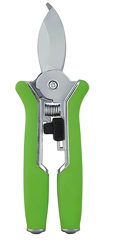 Pruning Shears