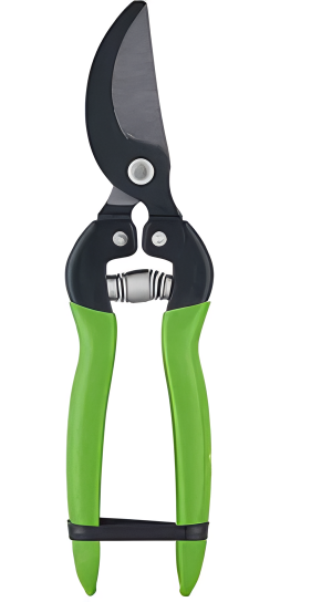 Pruning Shears